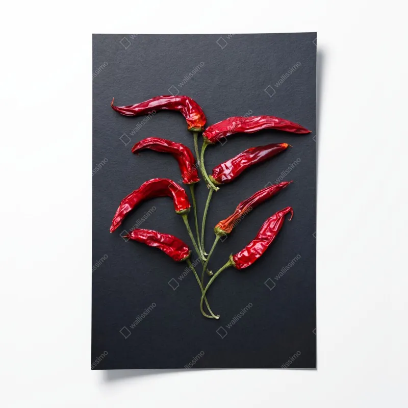 Plakat kulinarna grafika z czerwonych papryczek chili