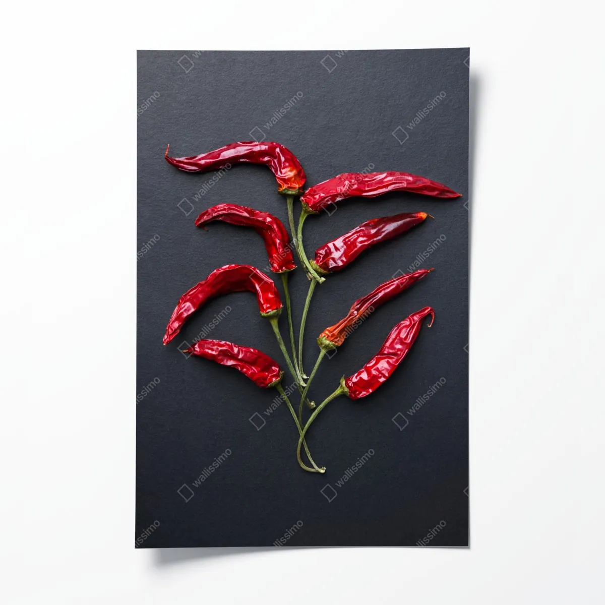 Plakat kulinarna grafika z czerwonych papryczek chili – Wallissimo® Plakat kulinarna grafika z czerwonych papryczek chili – Wallissimo®