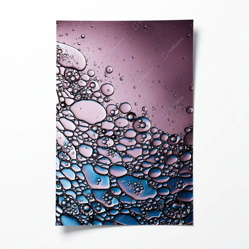 Plakat spokojna kładka w dżungli przez bujny las deszczowy – Wallissimo®