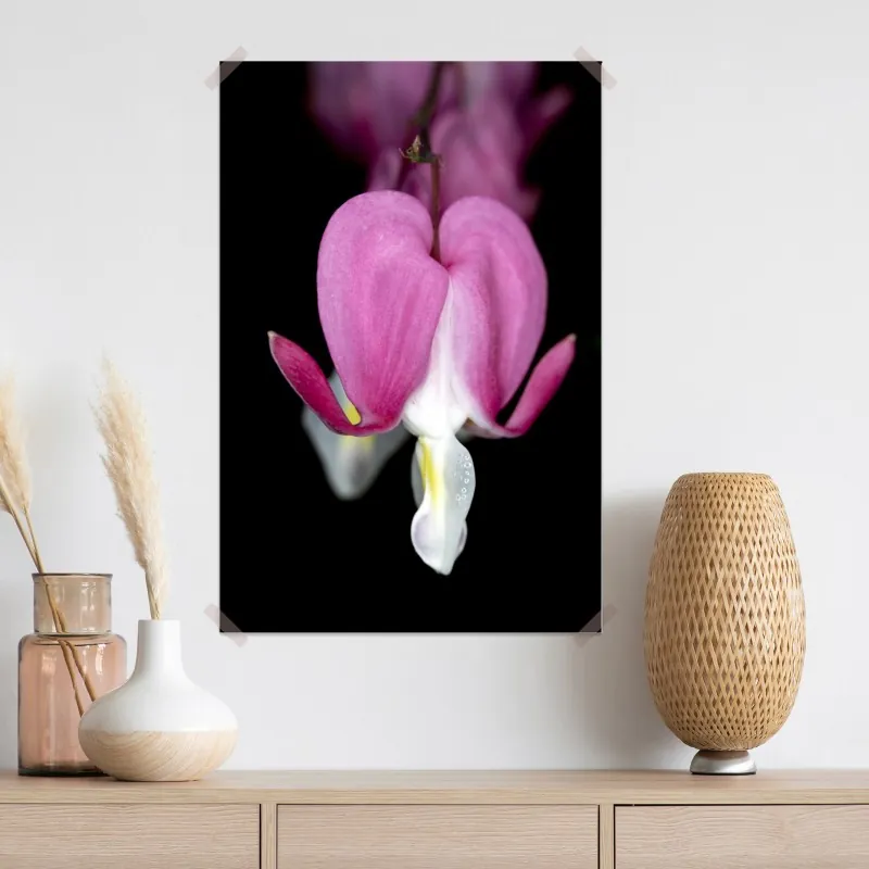 Plakat delikatne różowe serduszko zbliżenie kwiatowe – Wallissimo® Plakat delikatne różowe serduszko zbliżenie kwiatowe – Wallissimo®