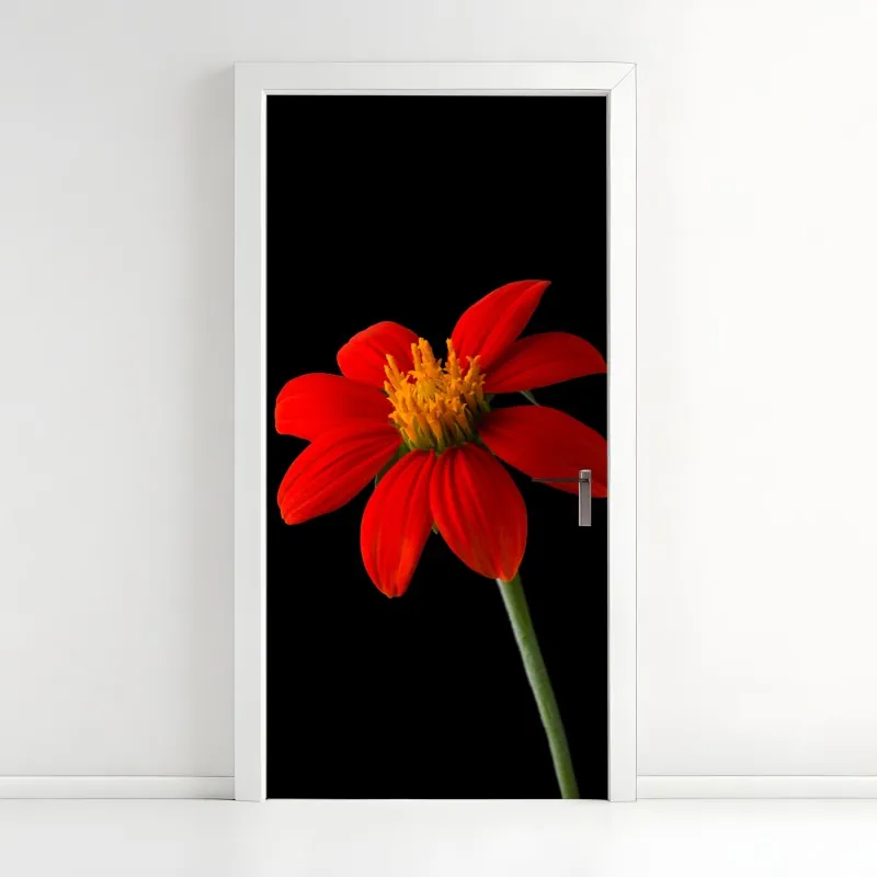 Naklejka na drzwi most Golden Gate o zmierzchu, San Francisco – Wallissimo®