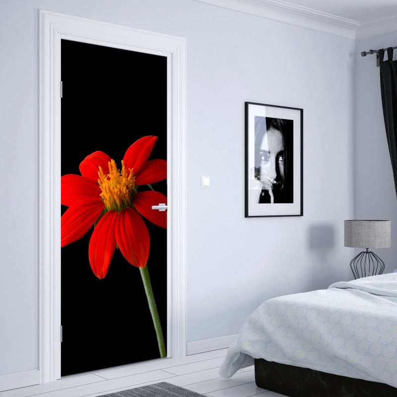 Naklejka na drzwi żywy słonecznik meksykański na czarnym tle – Wallissimo® Naklejka na drzwi żywy słonecznik meksykański na czarnym tle – Wallissimo®