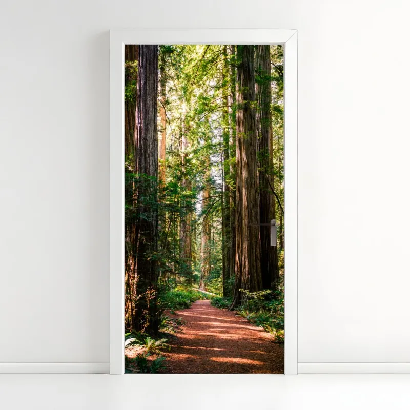 Naklejka na drzwi majestatyczna ścieżka w lesie sekwoi