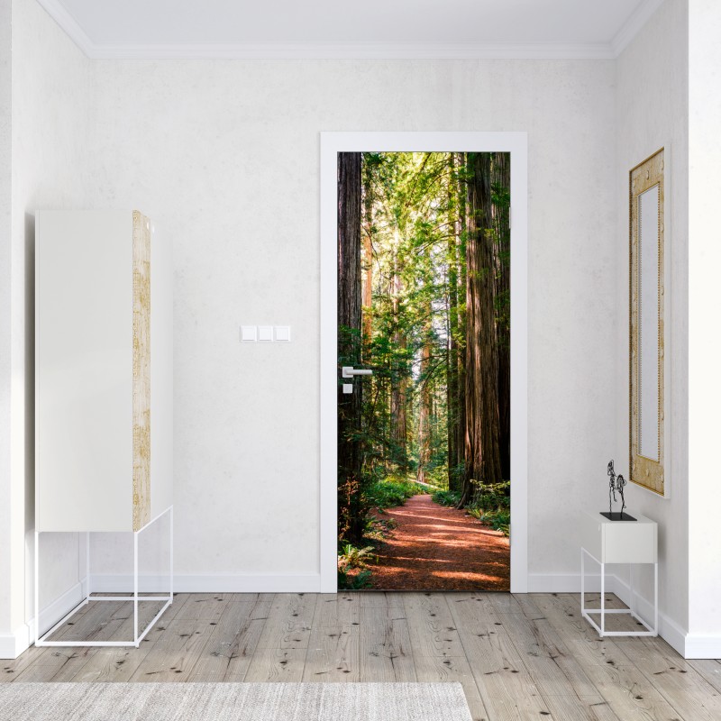 Naklejka na drzwi majestatyczna ścieżka w lesie sekwoi – Wallissimo® Naklejka na drzwi majestatyczna ścieżka w lesie sekwoi – Wallissimo®
