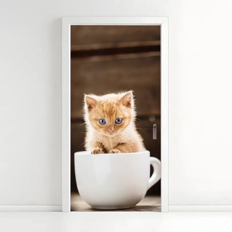 Naklejka na drzwi rudy kociak w filiżance