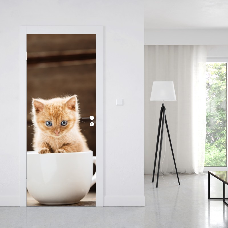 Naklejka na drzwi rudy kociak w filiżance – Wallissimo® Naklejka na drzwi rudy kociak w filiżance – Wallissimo®
