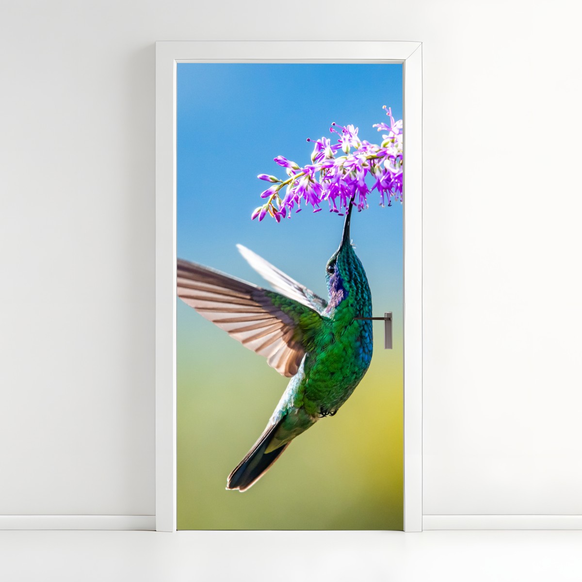 Door sticker vibrant hummingbird and purple blossom – Wallissimo®