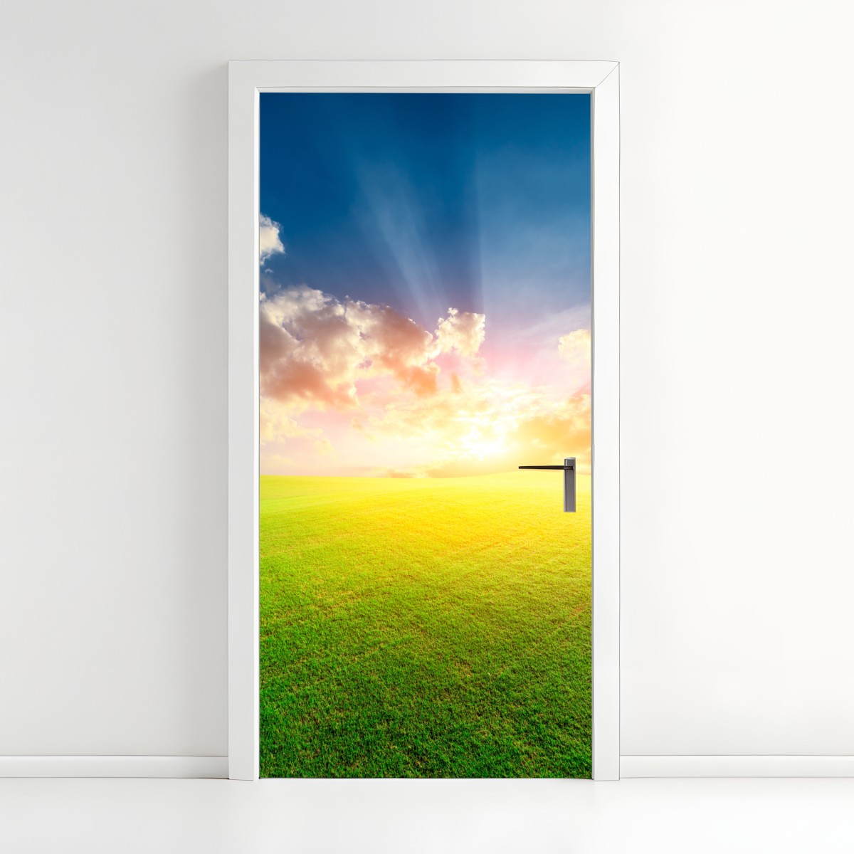 Door sticker sunlit meadow at sunset – Wallissimo®
