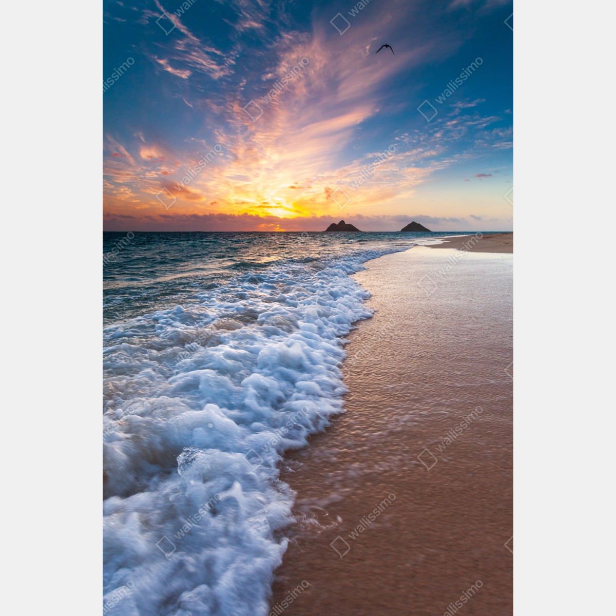 Naklejka na drzwi spokojny wschód słońca nad brzegiem oceanu – Wallissimo® Naklejka na drzwi spokojny wschód słońca nad brzegiem oceanu – Wallissimo®