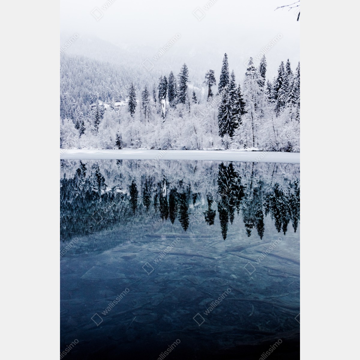 Naklejka na drzwi zimowe jezioro z odbiciem w śnieżnym lesie – Wallissimo® Naklejka na drzwi zimowe jezioro z odbiciem w śnieżnym lesie – Wallissimo®