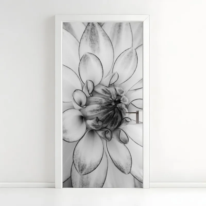 Naklejka na drzwi monochromatyczne zbliżenie dalii