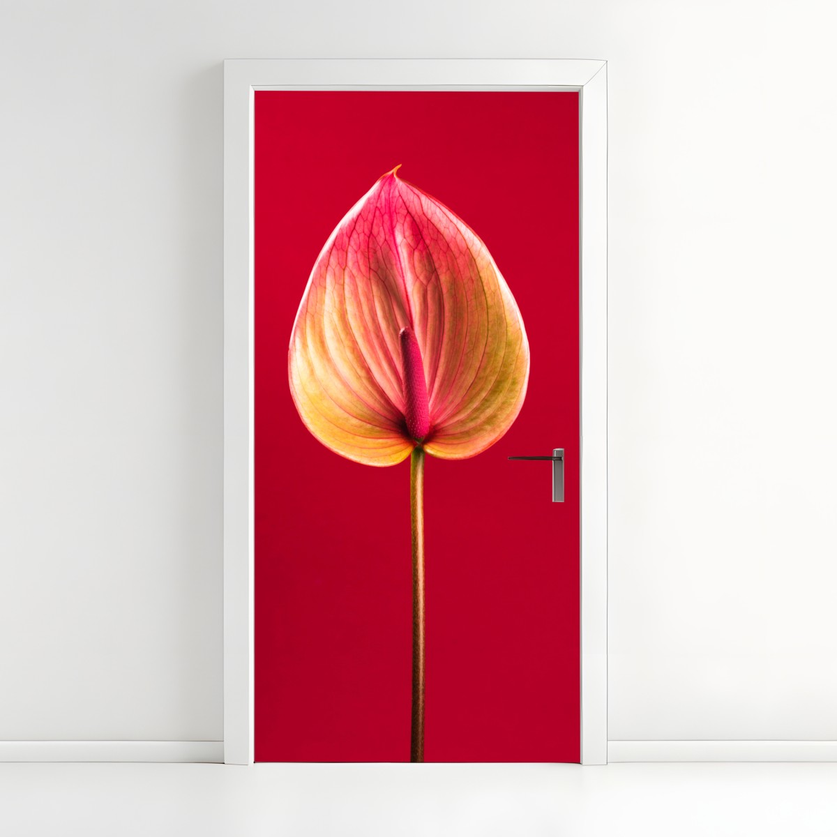 Door sticker elegant anthurium on red background – Wallissimo®