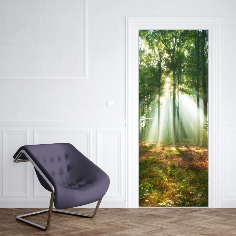 Naklejka na drzwi poranne światło w lesie – Wallissimo® Naklejka na drzwi poranne światło w lesie – Wallissimo®