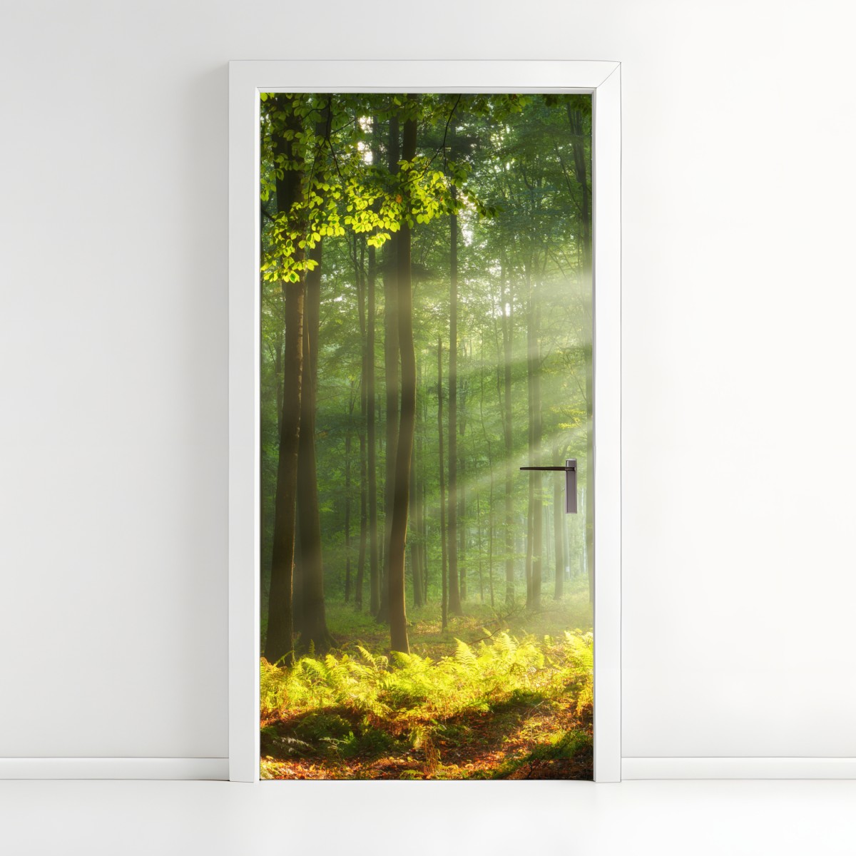 Door sticker sunlit morning in the forest – Wallissimo®