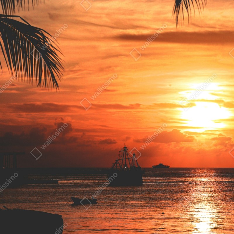 Naklejka na drzwi tropikalny zachód słońca nad morzem – Wallissimo® Naklejka na drzwi tropikalny zachód słońca nad morzem – Wallissimo®