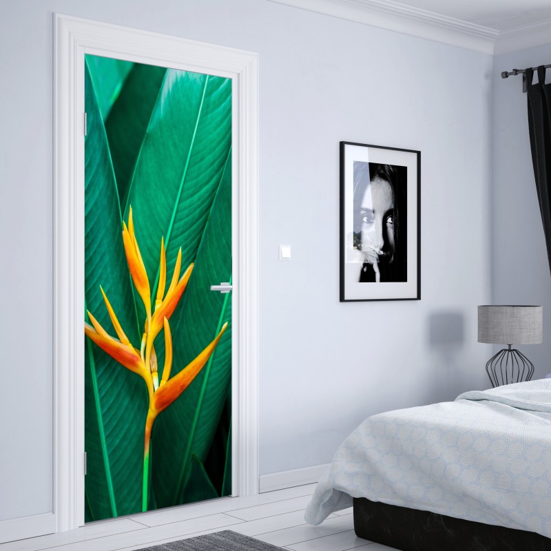 Naklejka na drzwi intensywny tropikalny ptak rajski na zielonych liściach – Wallissimo® Naklejka na drzwi intensywny tropikalny ptak rajski na zielonych liściach – Wallissimo®