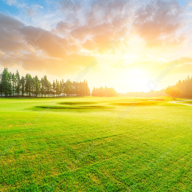 Naklejka na drzwi słoneczna łąka i las o wschodzie słońca – Wallissimo® Naklejka na drzwi słoneczna łąka i las o wschodzie słońca – Wallissimo®