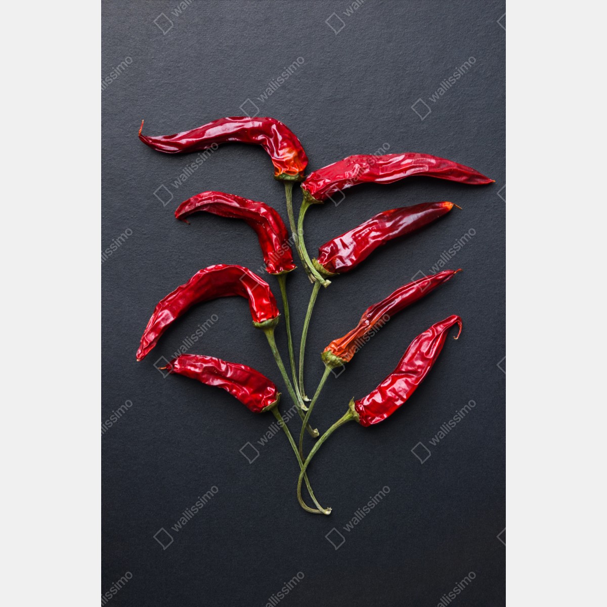 Naklejka na drzwi kulinarna grafika z czerwonych papryczek chili – Wallissimo® Naklejka na drzwi kulinarna grafika z czerwonych papryczek chili – Wallissimo®