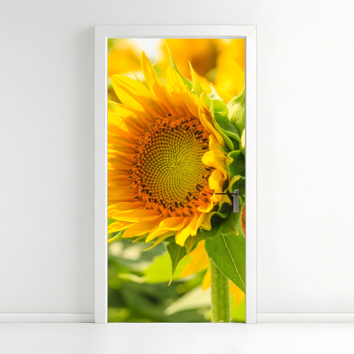 Door sticker sunflower bloom close-up – Wallissimo®
