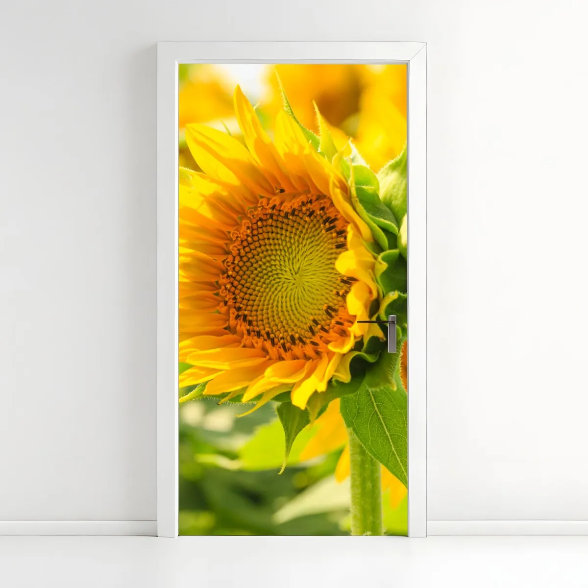 Naklejka na drzwi zbliżenie słonecznika – Wallissimo® Naklejka na drzwi zbliżenie słonecznika – Wallissimo®