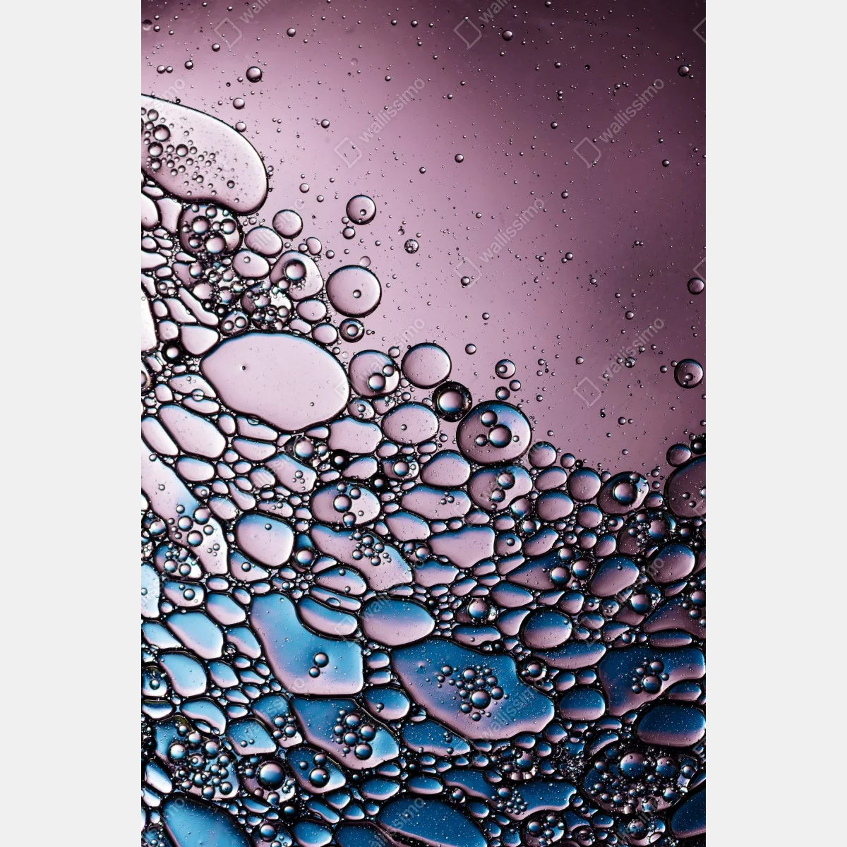 Naklejka na drzwi fioletowy abstrakcyjny wzór z bąbelkami – Wallissimo® Naklejka na drzwi fioletowy abstrakcyjny wzór z bąbelkami – Wallissimo®