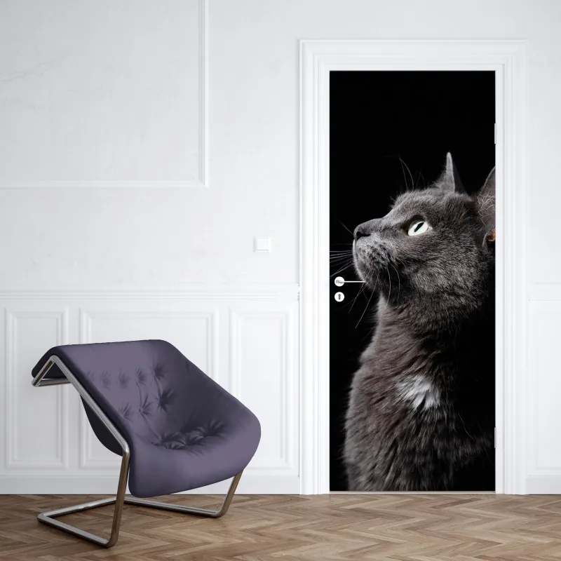 Naklejka na drzwi ciemna tekstura łupka – Wallissimo®