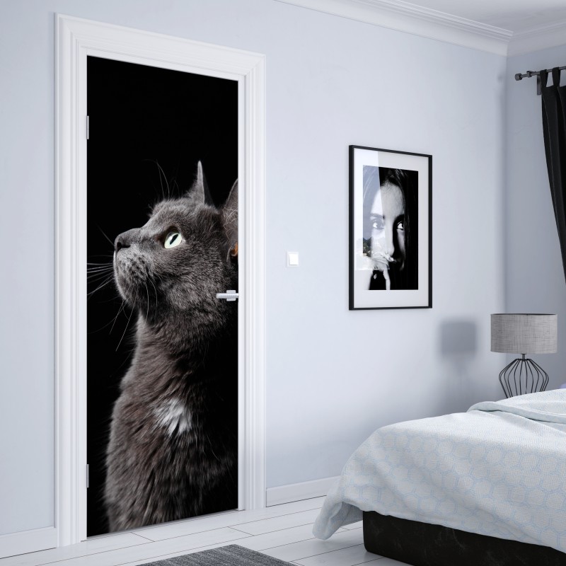 Naklejka na drzwi elegancki portret szarego kota – Wallissimo® Naklejka na drzwi elegancki portret szarego kota – Wallissimo®
