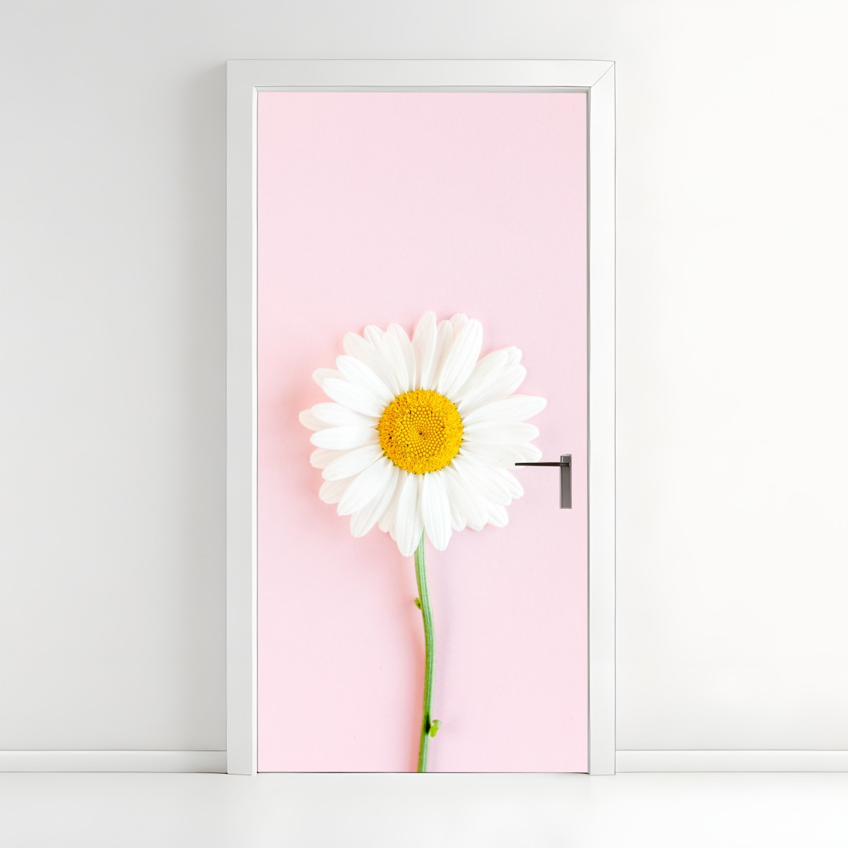 Door sticker white daisy on pastel pink background – Wallissimo®