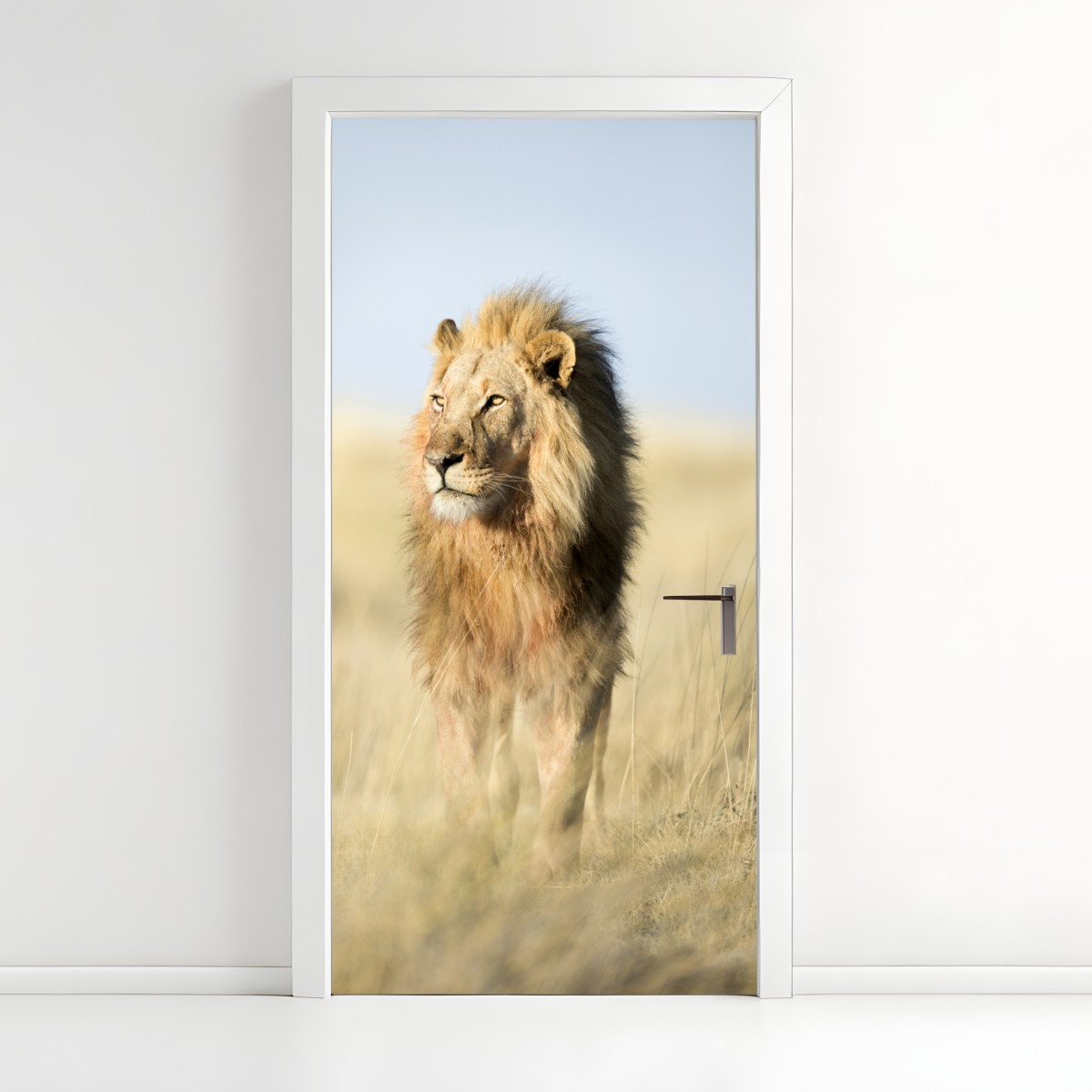 Door sticker majestic African lion in grassland – Wallissimo®