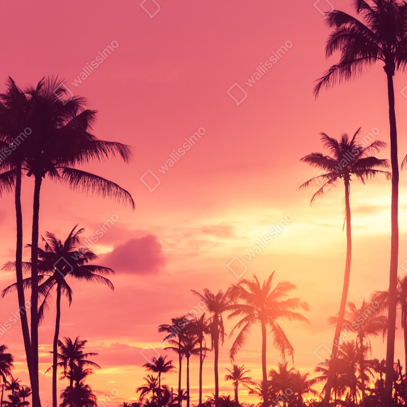 Naklejka na drzwi różowy tropikalny zachód słońca z palmami – Wallissimo® Naklejka na drzwi różowy tropikalny zachód słońca z palmami – Wallissimo®