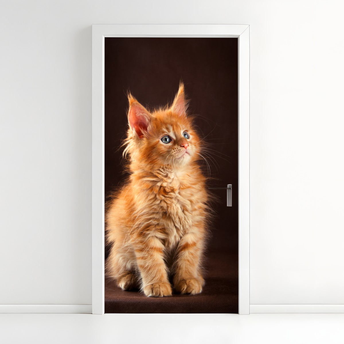 Door sticker curious ginger kitten portrait – Wallissimo®