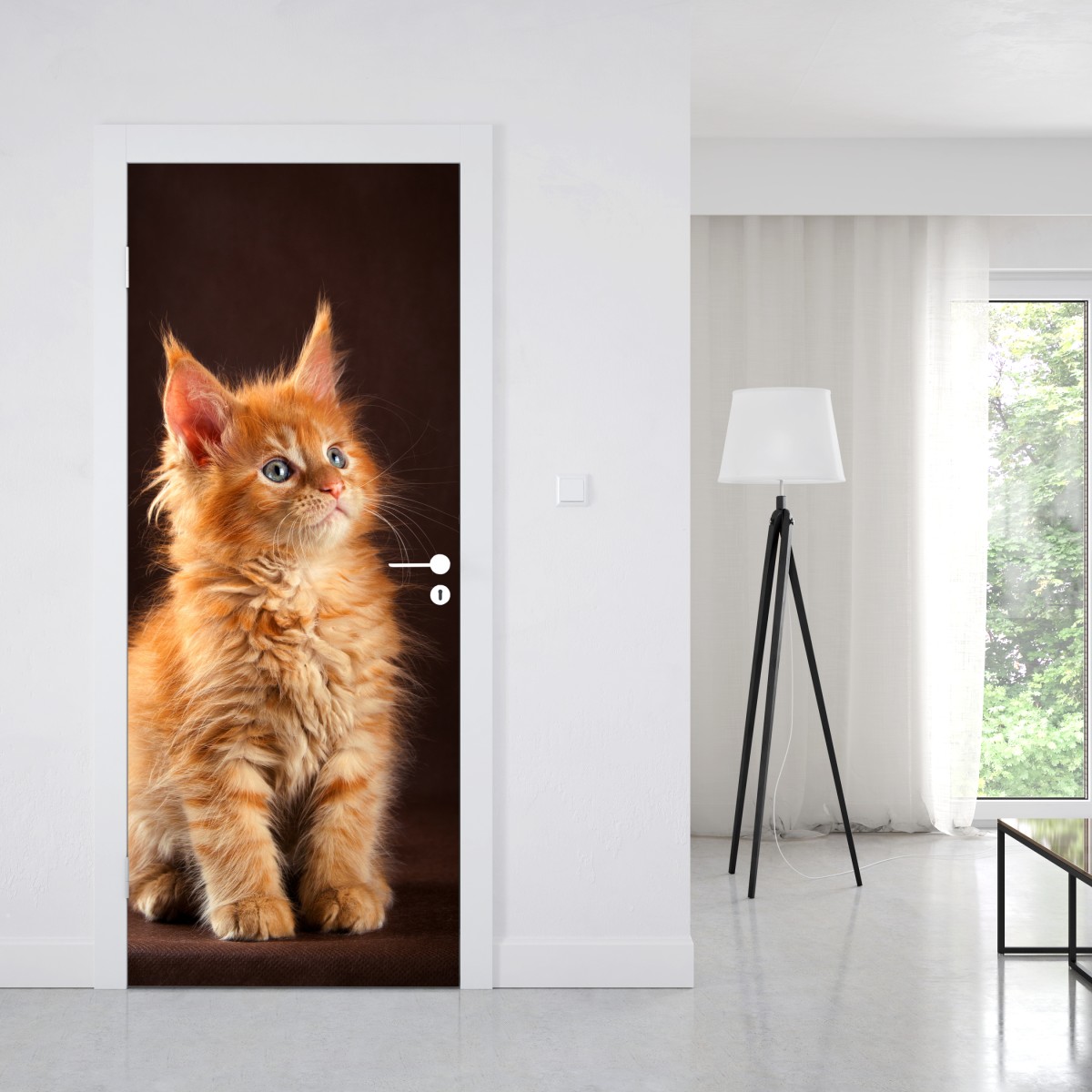 Naklejka na drzwi uroczy rudy kociak w portrecie – Wallissimo® Naklejka na drzwi uroczy rudy kociak w portrecie – Wallissimo®