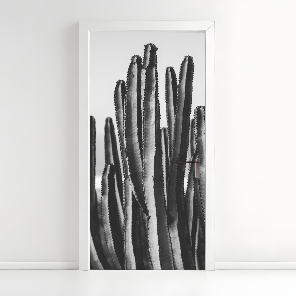 Door sticker monochrome cactus close-up – Wallissimo®