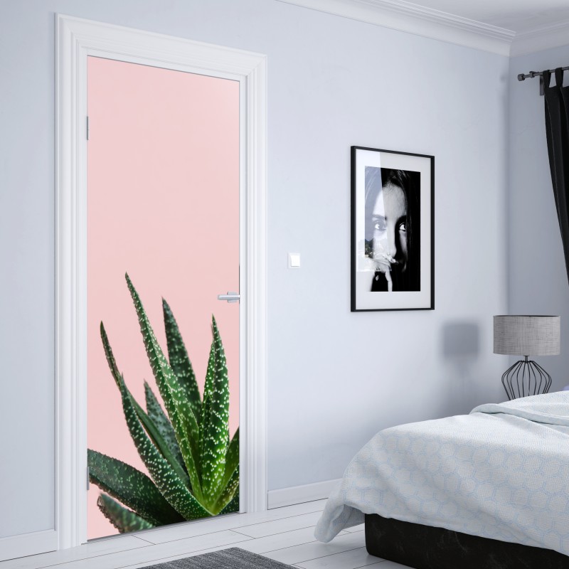 Naklejka na drzwi zielony aloes na różowym tle – Wallissimo® Naklejka na drzwi zielony aloes na różowym tle – Wallissimo®
