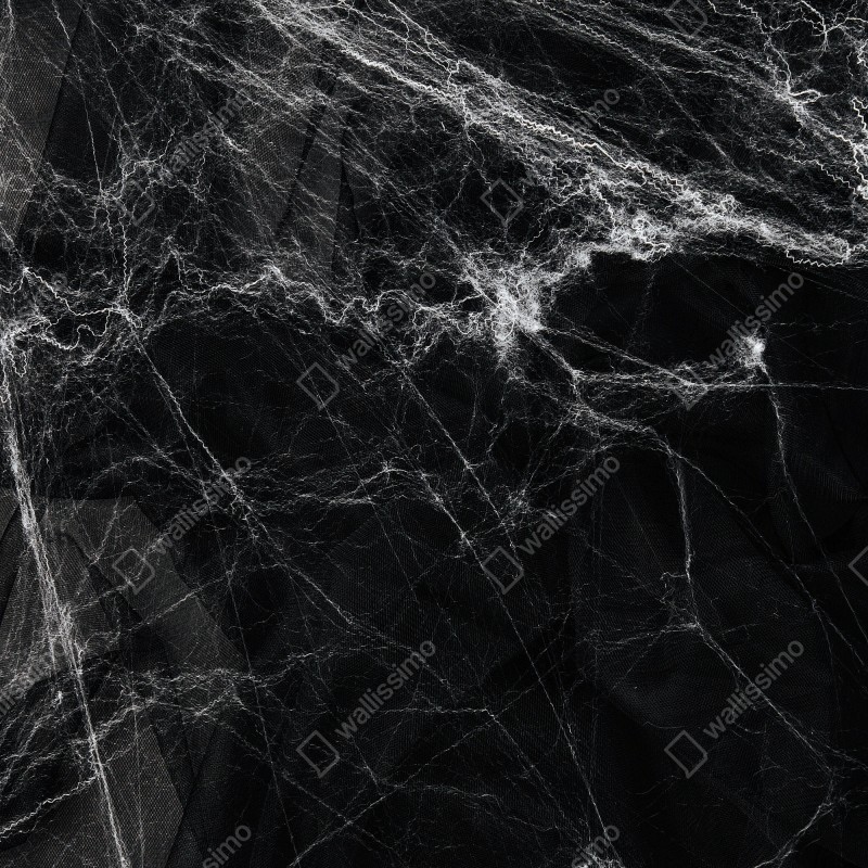 Naklejka na drzwi mroczna pajęczyna na czarnym tle – Wallissimo® Naklejka na drzwi mroczna pajęczyna na czarnym tle – Wallissimo®