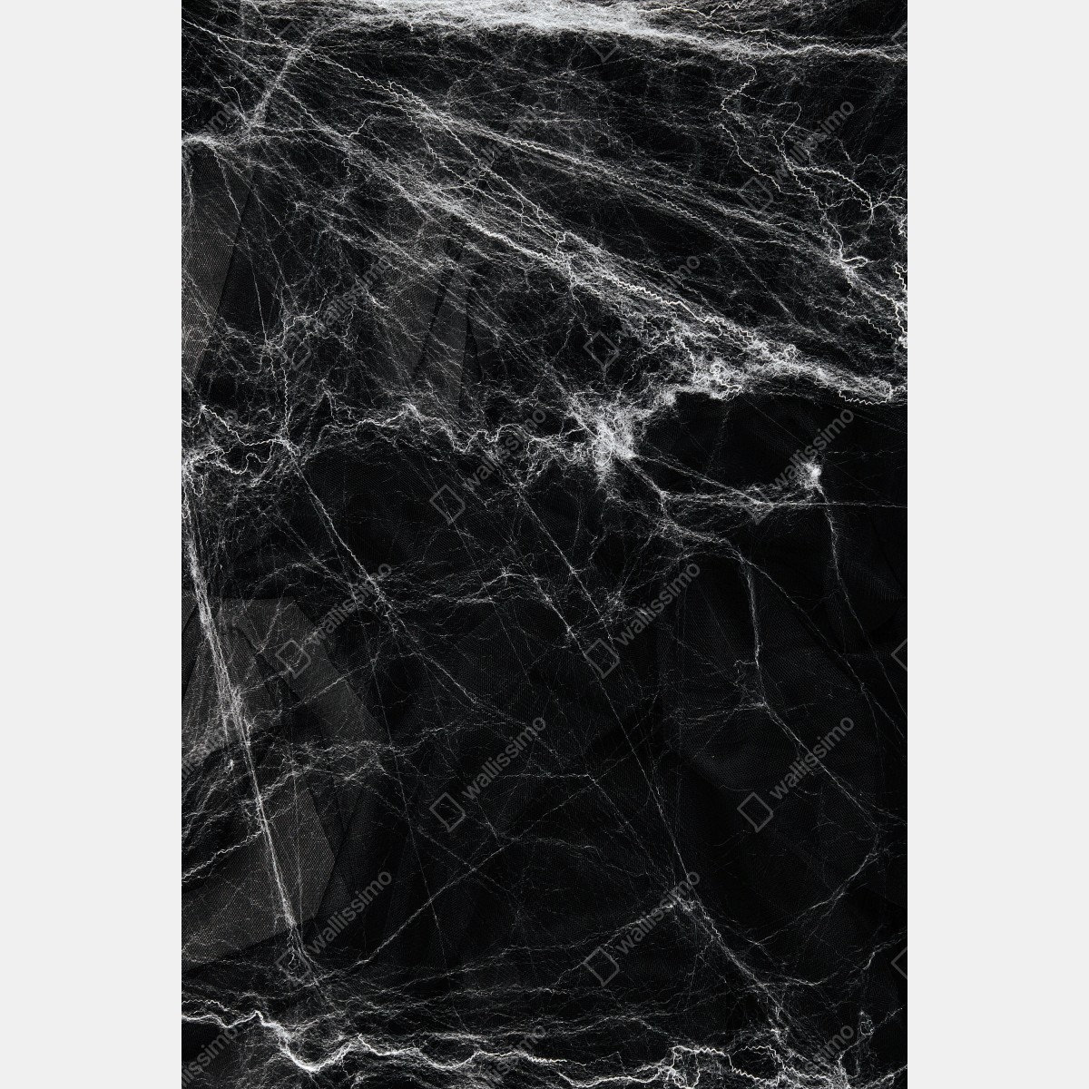 Naklejka na drzwi mroczna pajęczyna na czarnym tle – Wallissimo® Naklejka na drzwi mroczna pajęczyna na czarnym tle – Wallissimo®