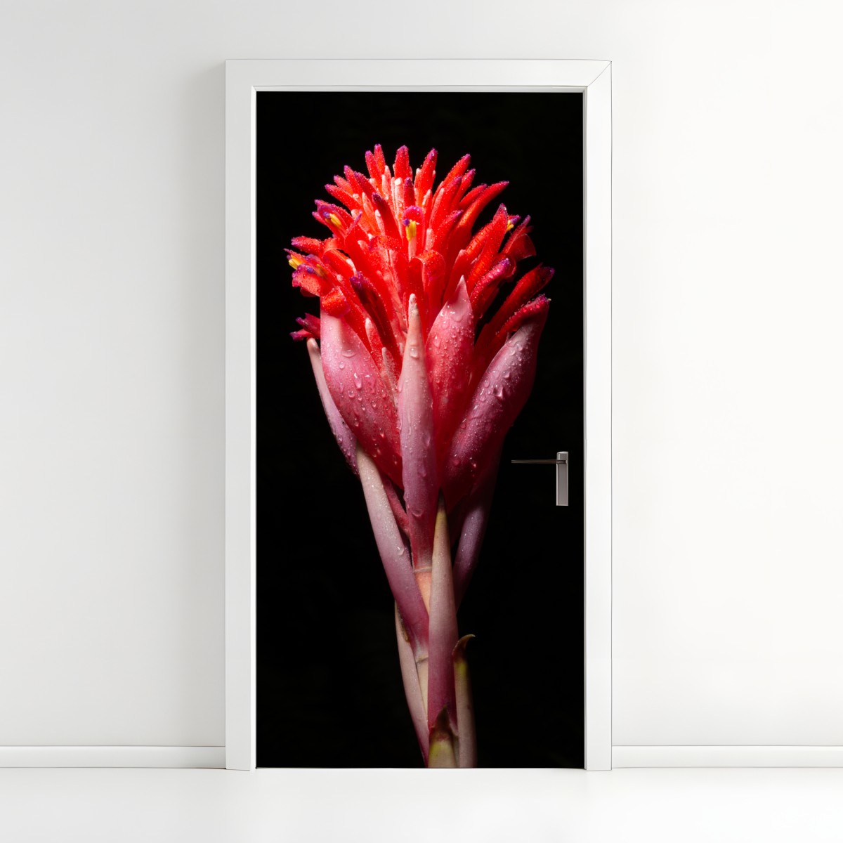 Door sticker vibrant pink bloom on black background – Wallissimo®