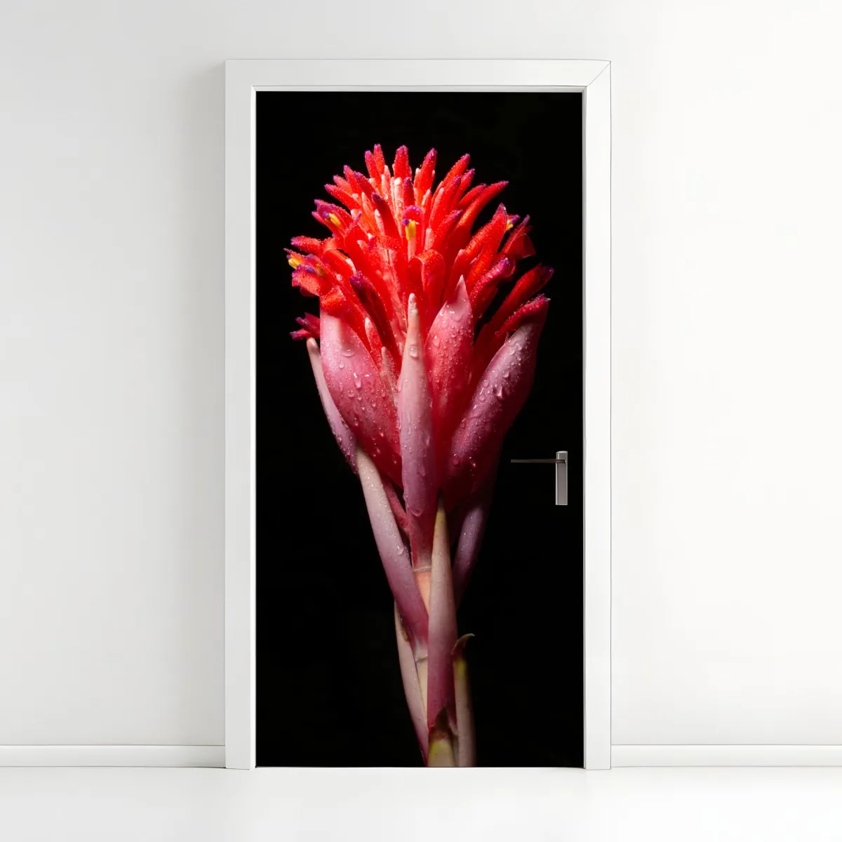 Naklejka na drzwi intensywny różowy kwiat na czarnym tle – Wallissimo® Naklejka na drzwi intensywny różowy kwiat na czarnym tle – Wallissimo®