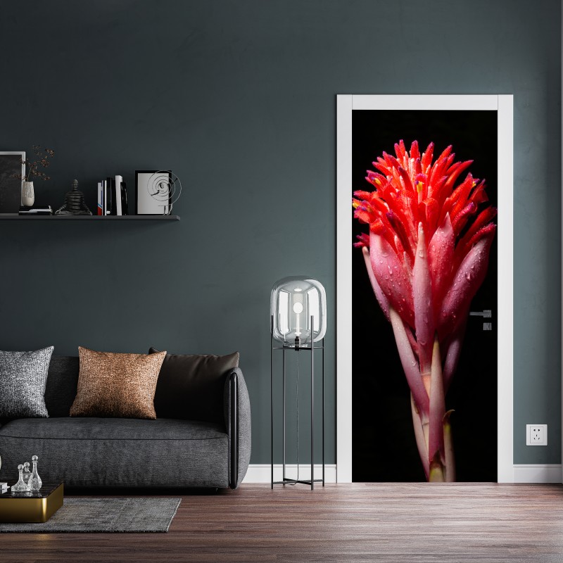 Naklejka na drzwi intensywny różowy kwiat na czarnym tle – Wallissimo® Naklejka na drzwi intensywny różowy kwiat na czarnym tle – Wallissimo®