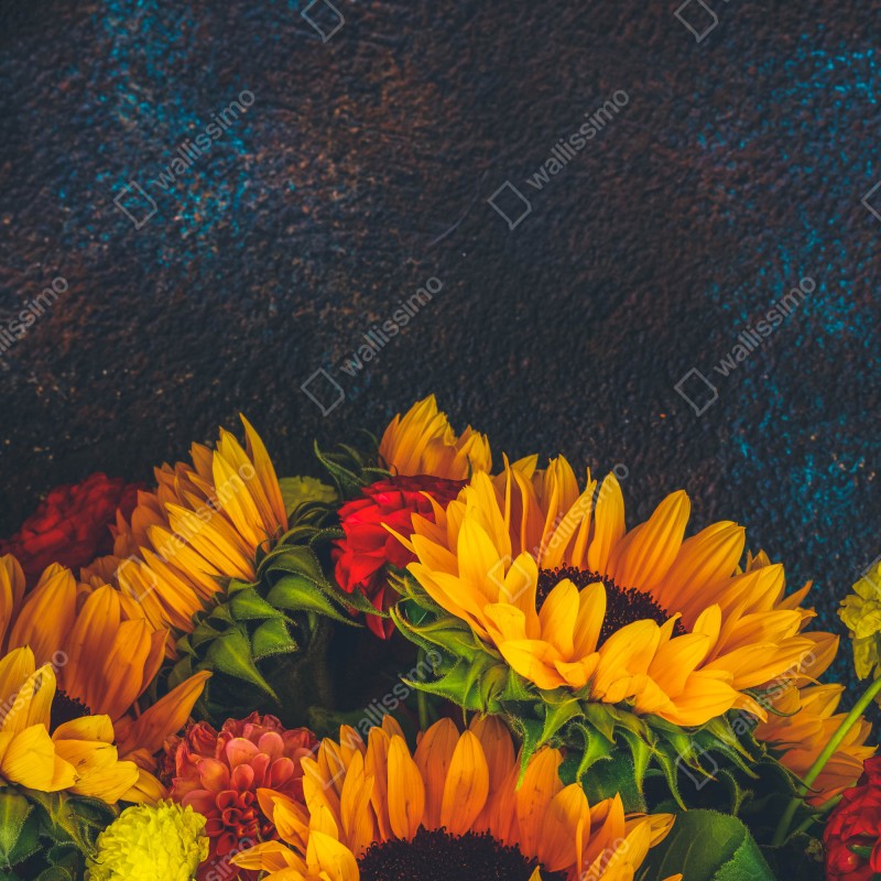 Naklejka na drzwi żywy bukiet słoneczników na ciemnym tle – Wallissimo® Naklejka na drzwi żywy bukiet słoneczników na ciemnym tle – Wallissimo®