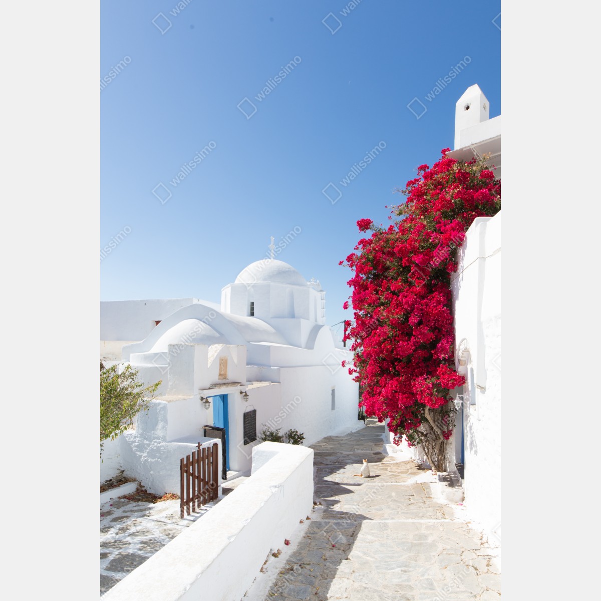 Naklejka na drzwi słoneczna ulica wyspy z bujną bugenwillą – Wallissimo® Naklejka na drzwi słoneczna ulica wyspy z bujną bugenwillą – Wallissimo®