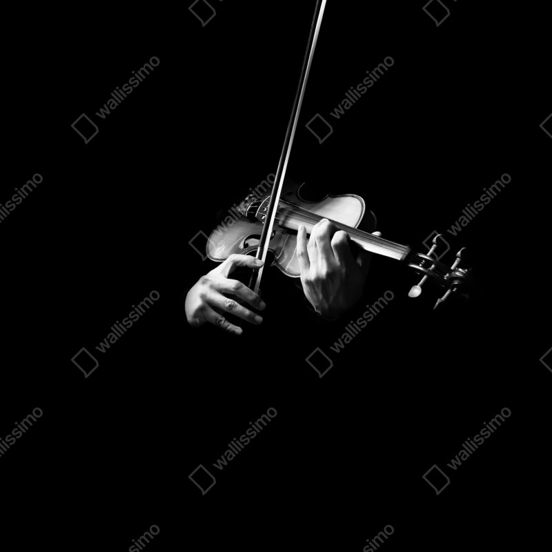 Naklejka na drzwi skrzypce w monochromie – Wallissimo® Naklejka na drzwi skrzypce w monochromie – Wallissimo®