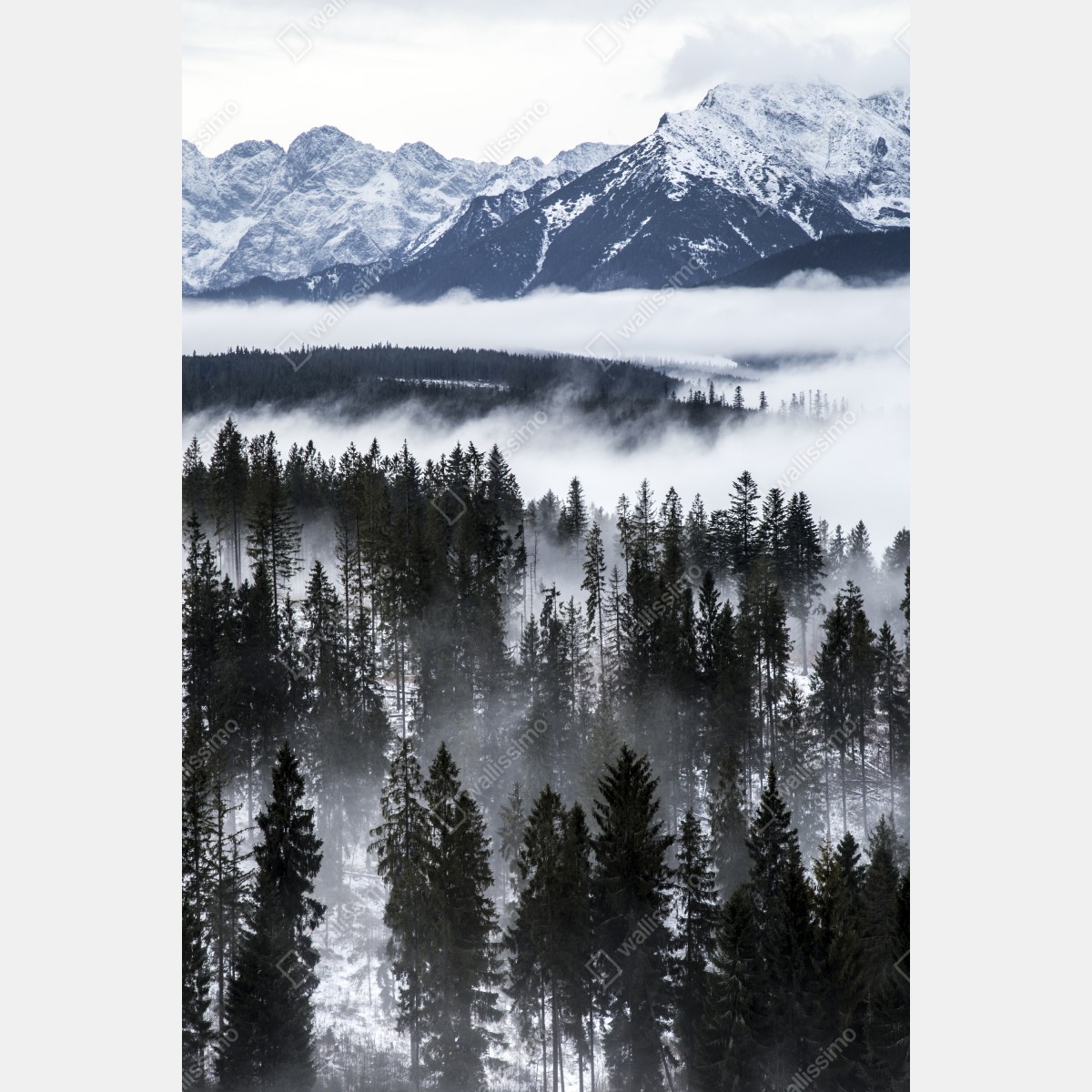 Naklejka na drzwi Tatry w zimowej mgle – Wallissimo® Naklejka na drzwi Tatry w zimowej mgle – Wallissimo®
