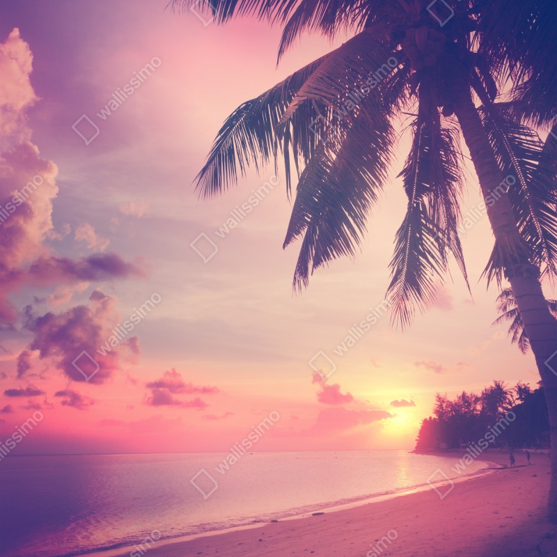 Naklejka na drzwi tropikalny zachód słońca na plaży – Wallissimo® Naklejka na drzwi tropikalny zachód słońca na plaży – Wallissimo®