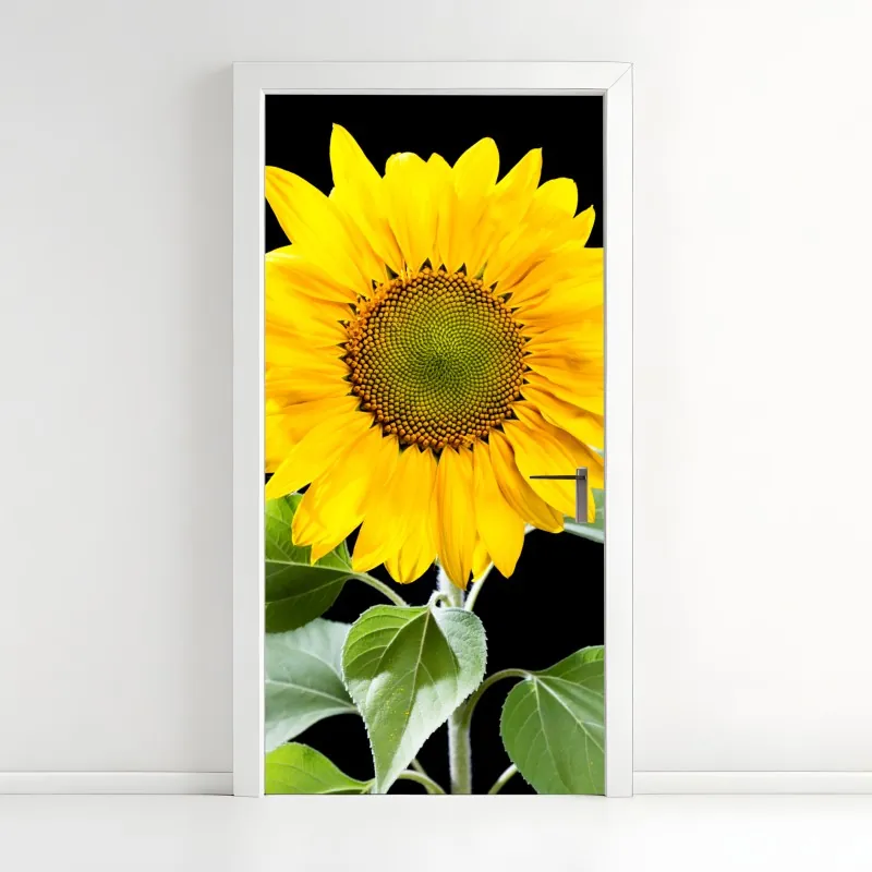 Naklejka na drzwi słoneczna leśna ścieżka – Wallissimo®