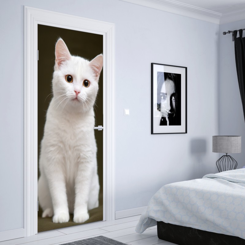 Naklejka na drzwi uroczy portret białego kota – Wallissimo® Naklejka na drzwi uroczy portret białego kota – Wallissimo®