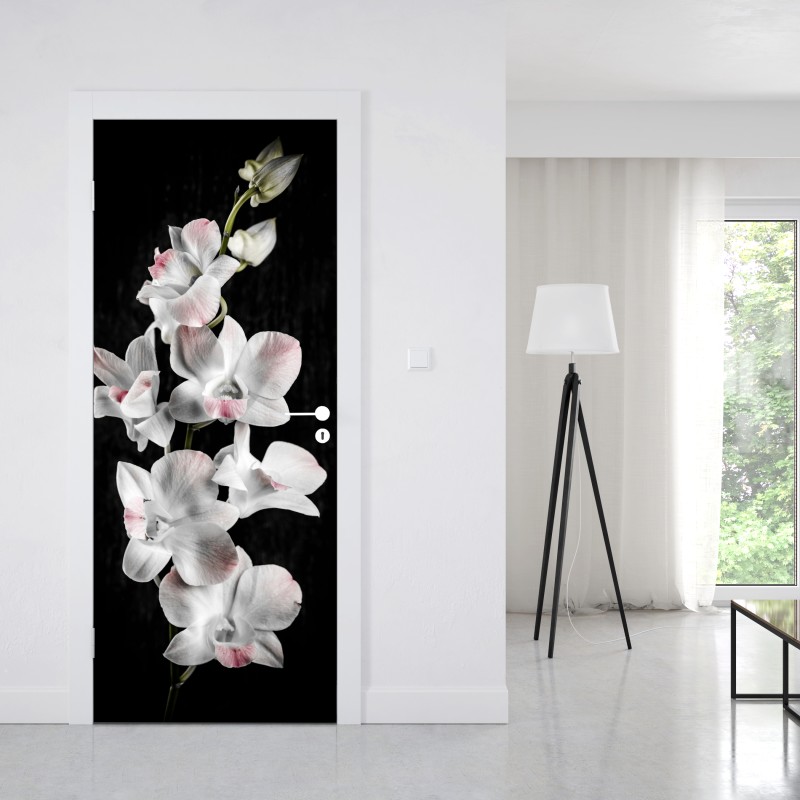 Naklejka na drzwi biały i różowy storczyk na czarnym tle – Wallissimo® Naklejka na drzwi biały i różowy storczyk na czarnym tle – Wallissimo®