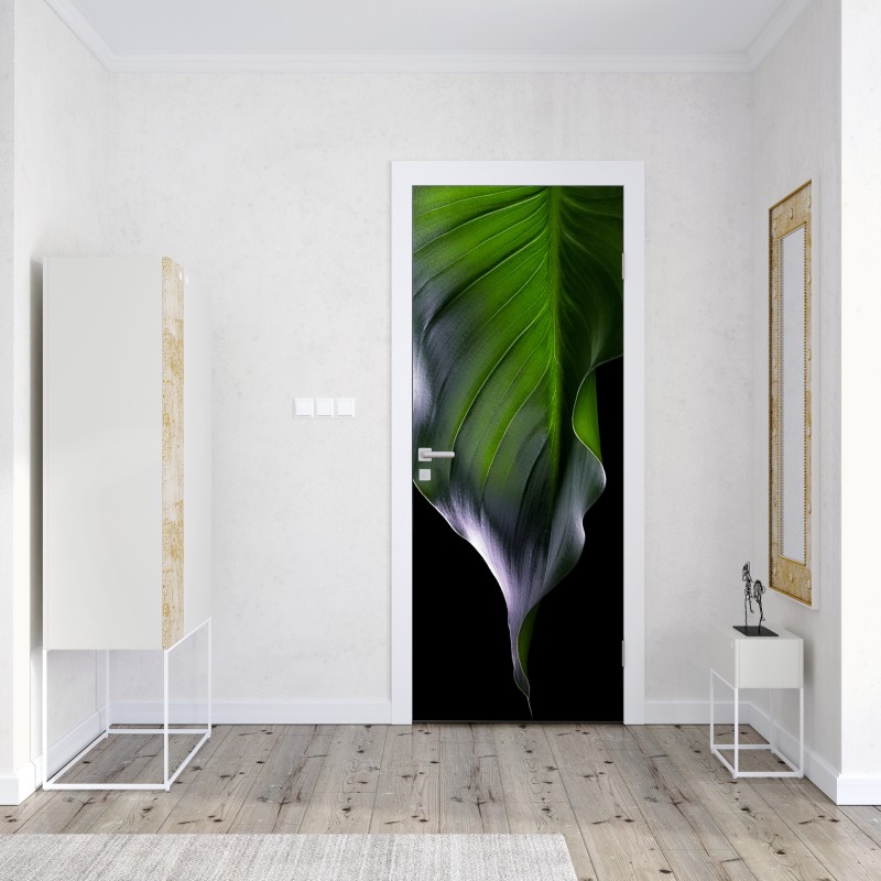 Naklejka na drzwi elegancki zielony liść na czarnym tle – Wallissimo® Naklejka na drzwi elegancki zielony liść na czarnym tle – Wallissimo®