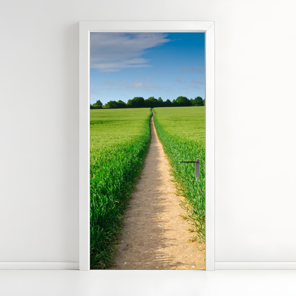Door sticker sunlit path through green meadow – Wallissimo®