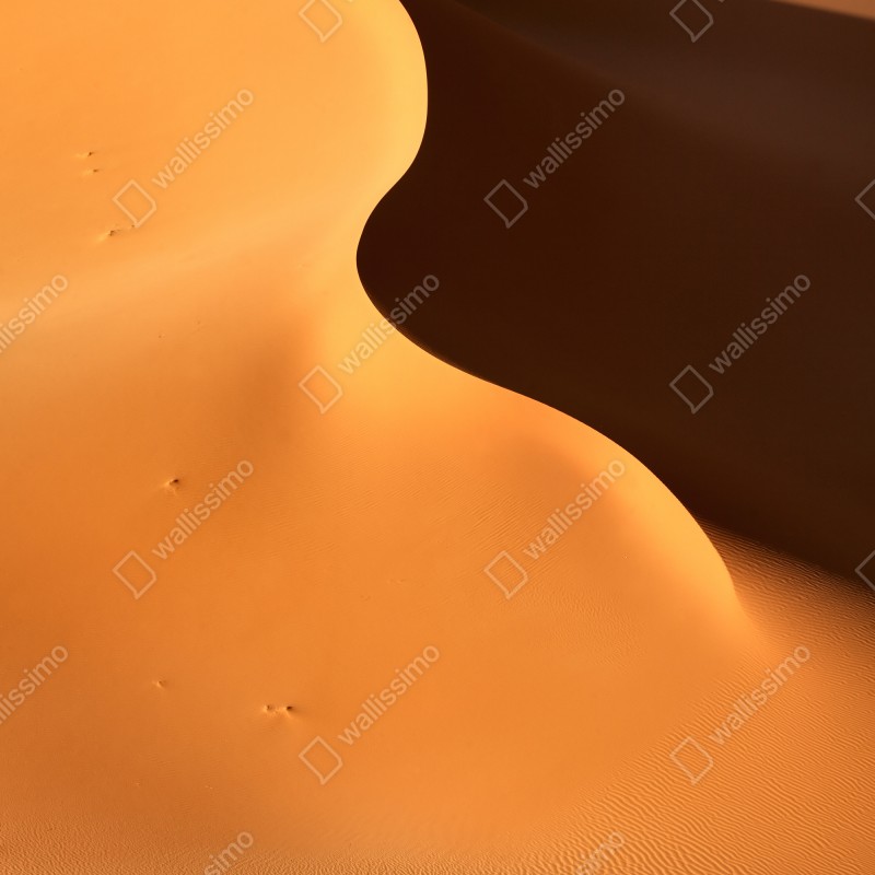 Naklejka na drzwi złote krzywizny wydmy – Wallissimo® Naklejka na drzwi złote krzywizny wydmy – Wallissimo®